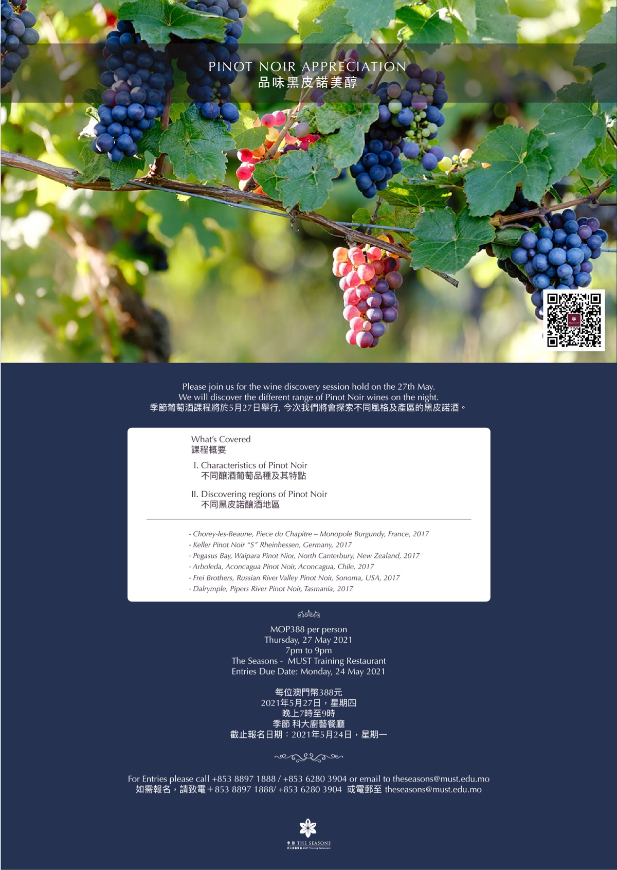 Pinot Noir Appreciation